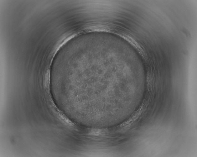 X0000110860790200907021415