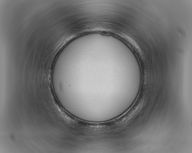 X0000110860793200907021415