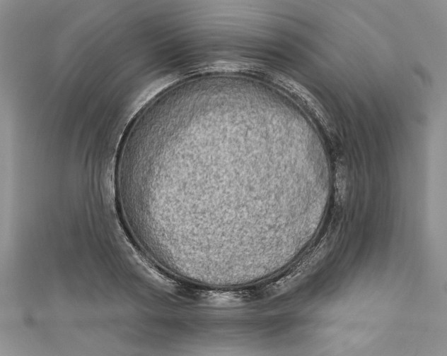 X0000110860794200907021415