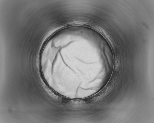 X0000110860795200907021415