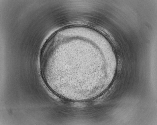 X0000110860796200907021415