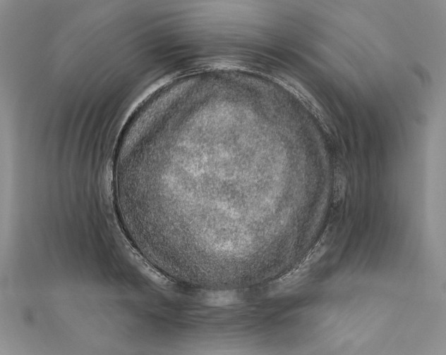 X0000110860798200907021415