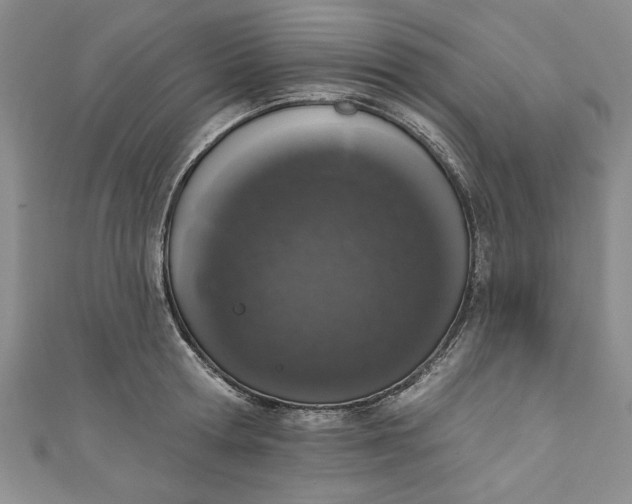 X0000110860802200907021415