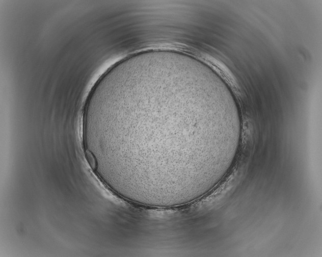 X0000110860804200907021415