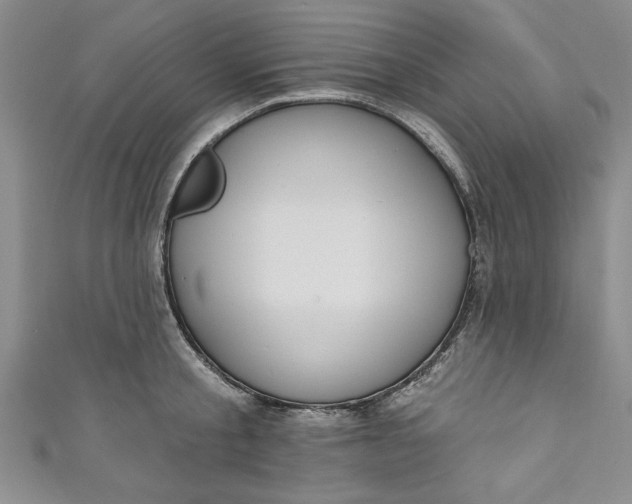 X0000110860805200907021414