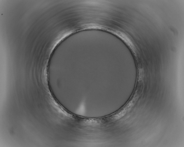 X0000110860806200907021414