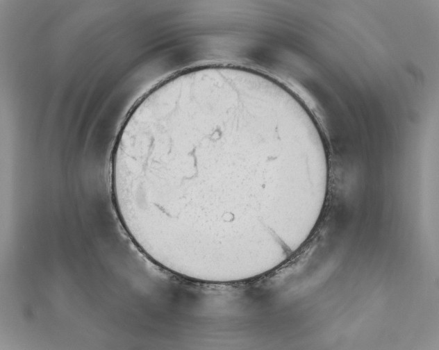 X0000110860807200907021414