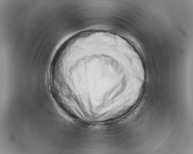 X0000110860808200907021414