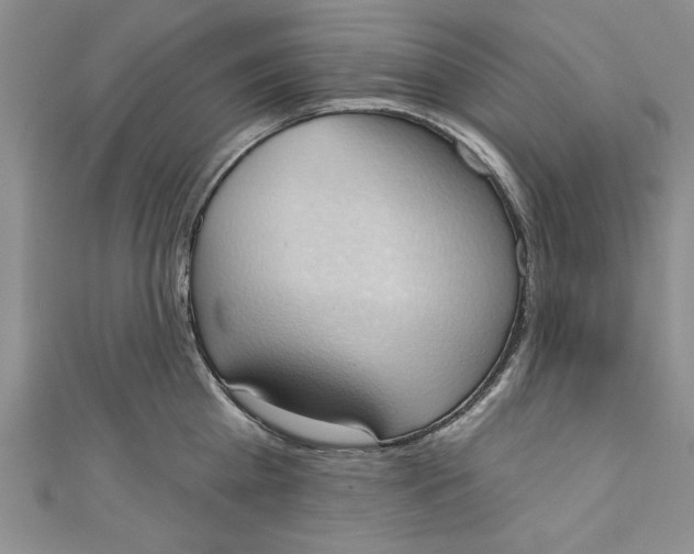 X0000110860809200907021414