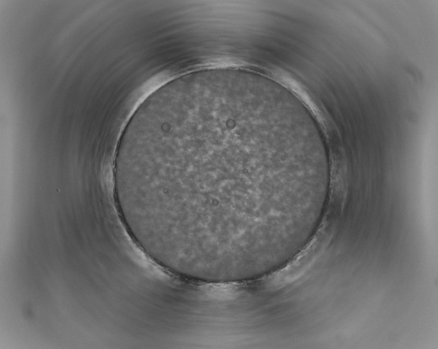 X0000110860810200907021414