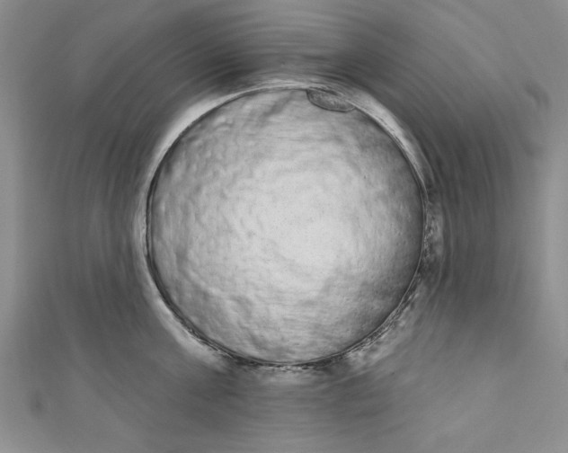 X0000110860811200907021414