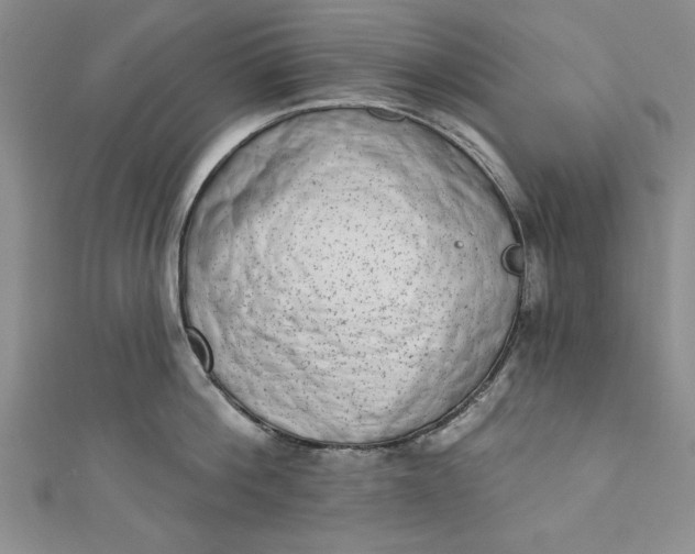 X0000110860812200907021414