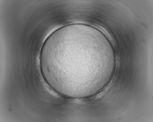 X0000110860814200907021414