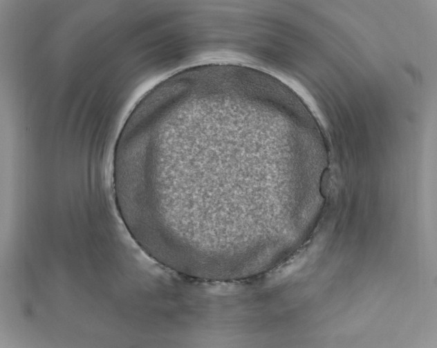 X0000110860815200907021414