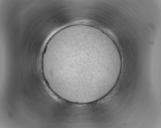 X0000110860816200907021414