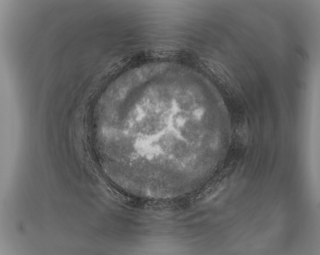 X0000110860817200907021414