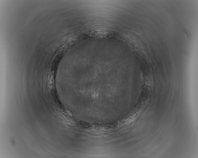 X0000110860818200907021414