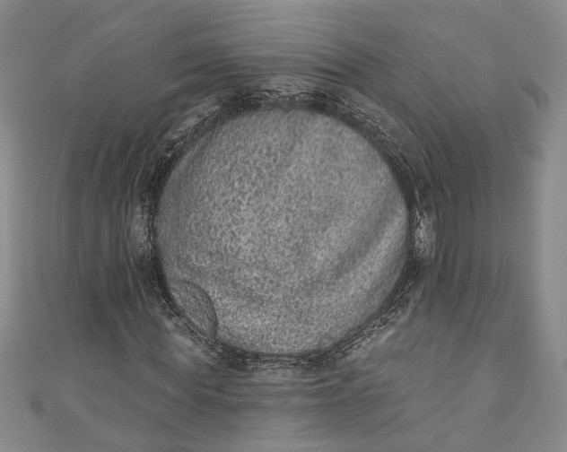 X0000110860819200907021414