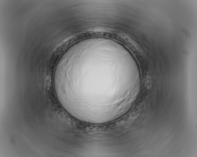 X0000110860821200907021414