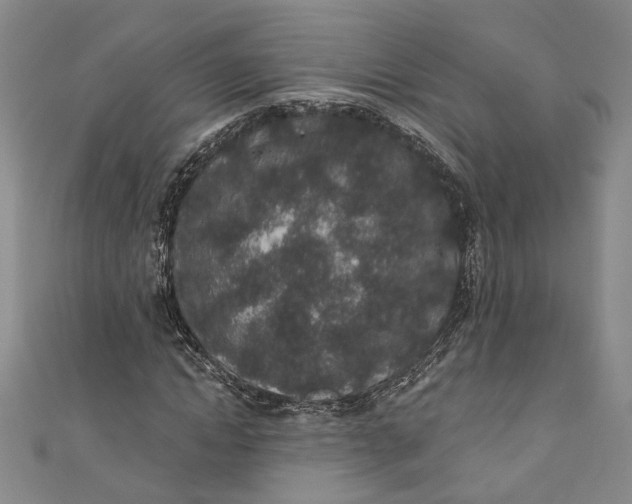 X0000110860822200907021414