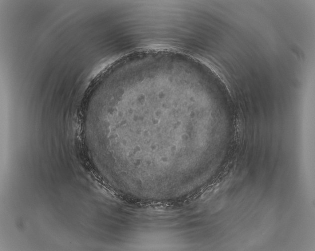 X0000110860823200907021414