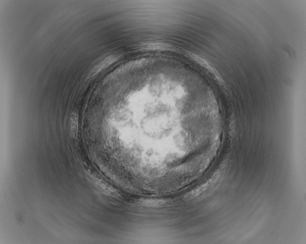 X0000110860825200907021414