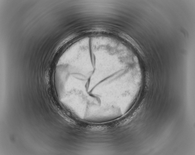 X0000110860826200907021414