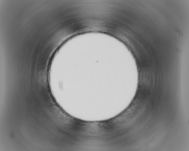 X0000110860828200907021414