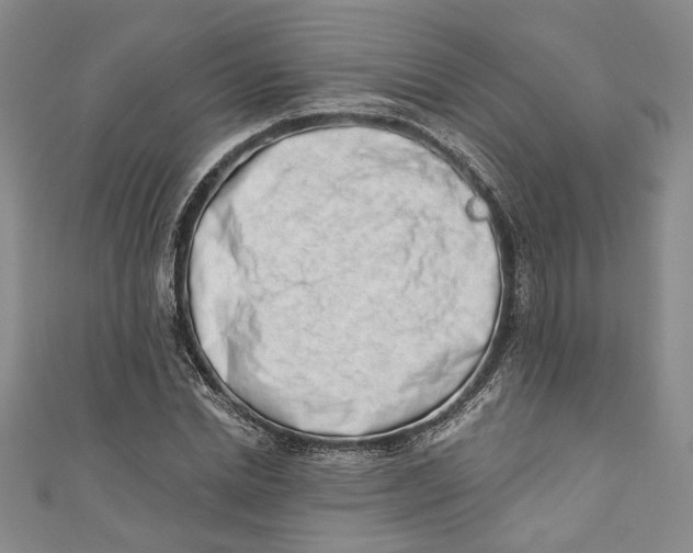 X0000110860830200907021414