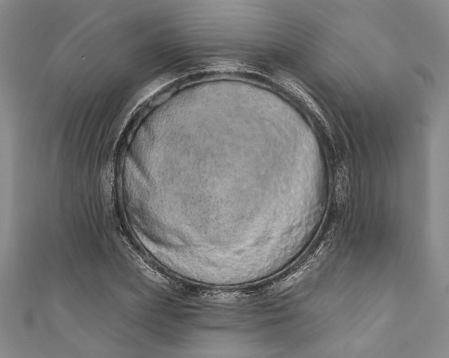 X0000110860831200907021414