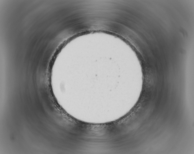 X0000110860832200907021414