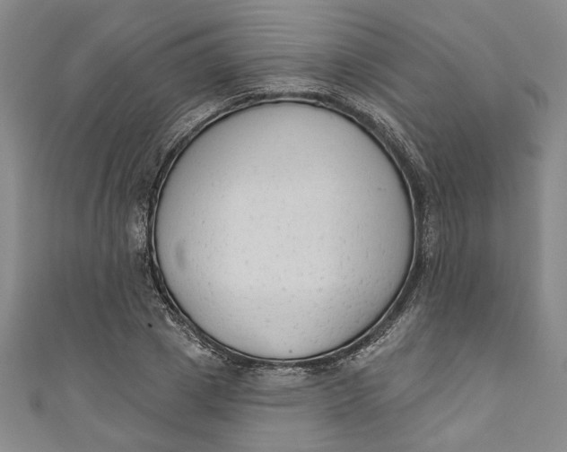 X0000110860833200907021414