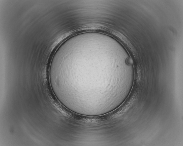 X0000110860834200907021414