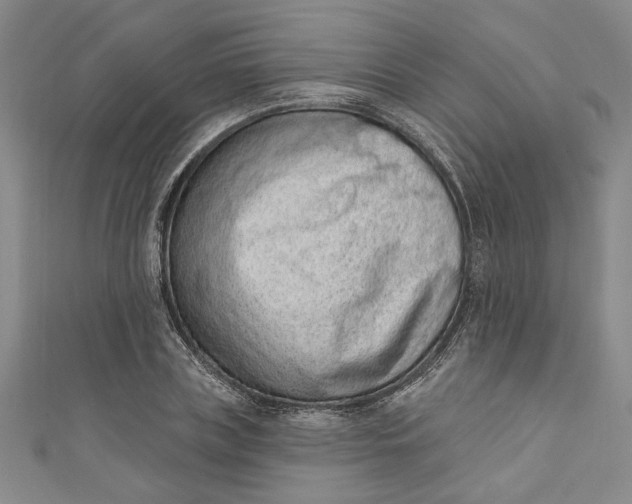 X0000110860835200907021414