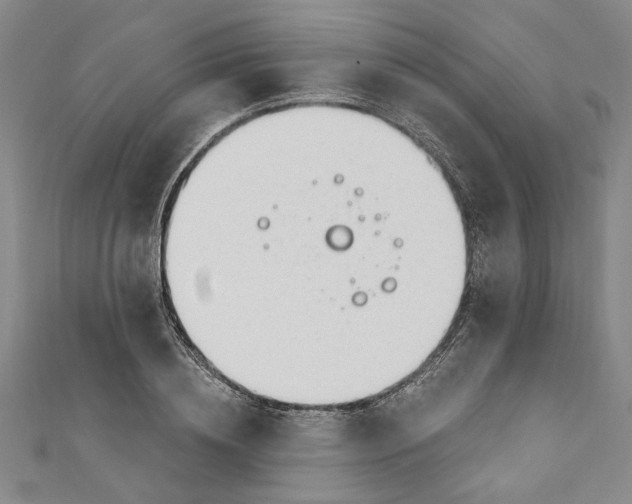 X0000110860836200907021414