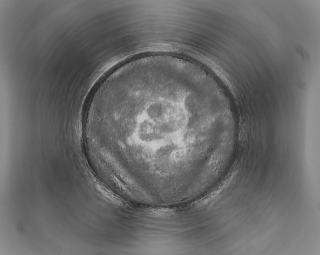 X0000110860837200907021414