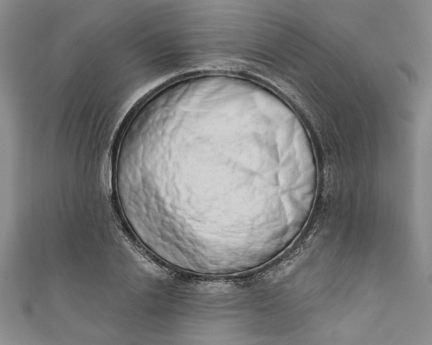 X0000110860838200907021414