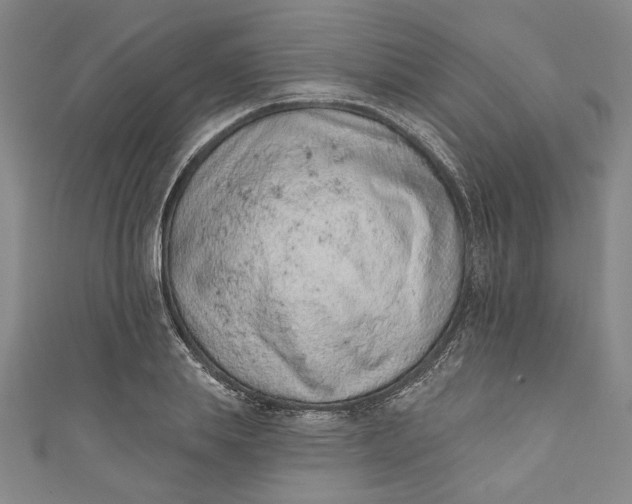 X0000110860839200907021414