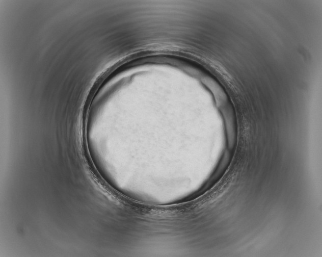 X0000110860840200907021414