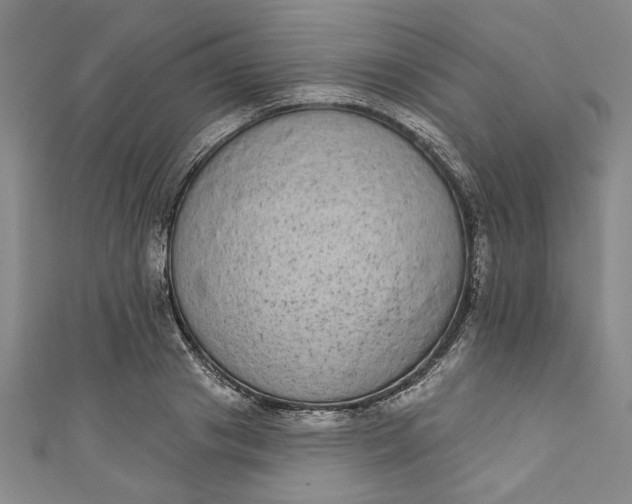 X0000110860841200907021414