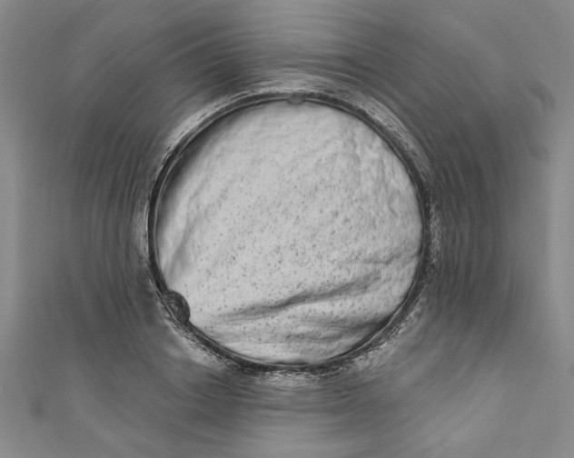 X0000110860842200907021414