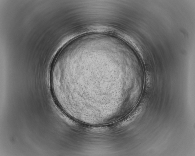 X0000110860843200907021414