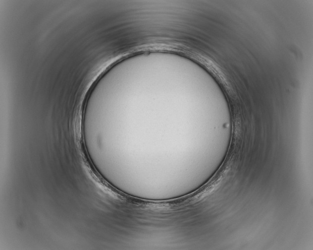 X0000110860844200907021414