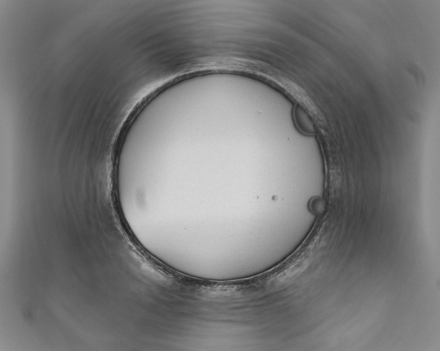 X0000110860846200907021414