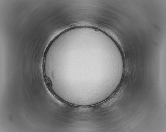 X0000110860847200907021414