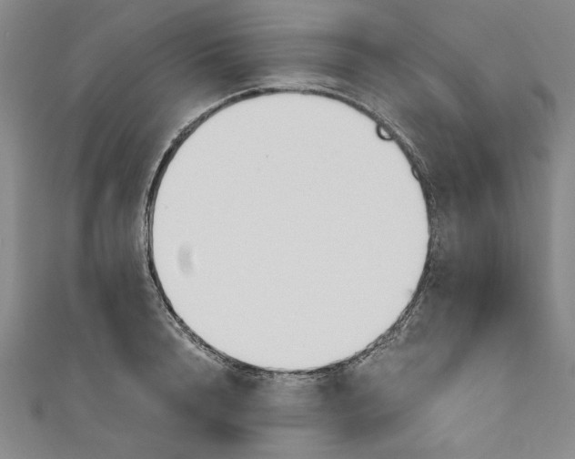 X0000110860848200907021414