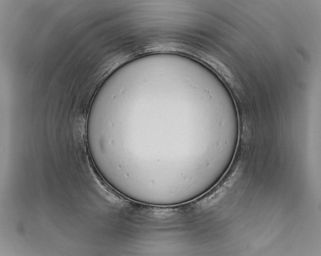 X0000110860849200907021414