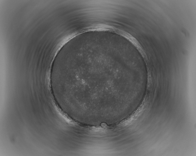 X0000110860850200907021414