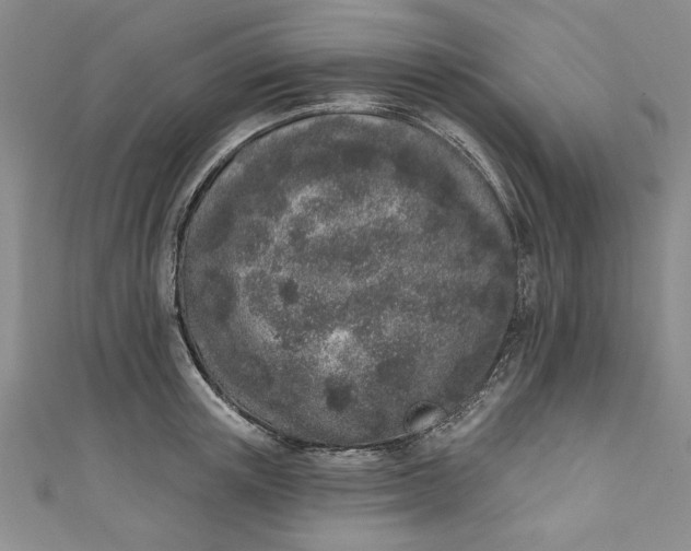 X0000110860851200907021414