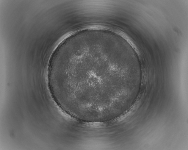 X0000110860853200907021414